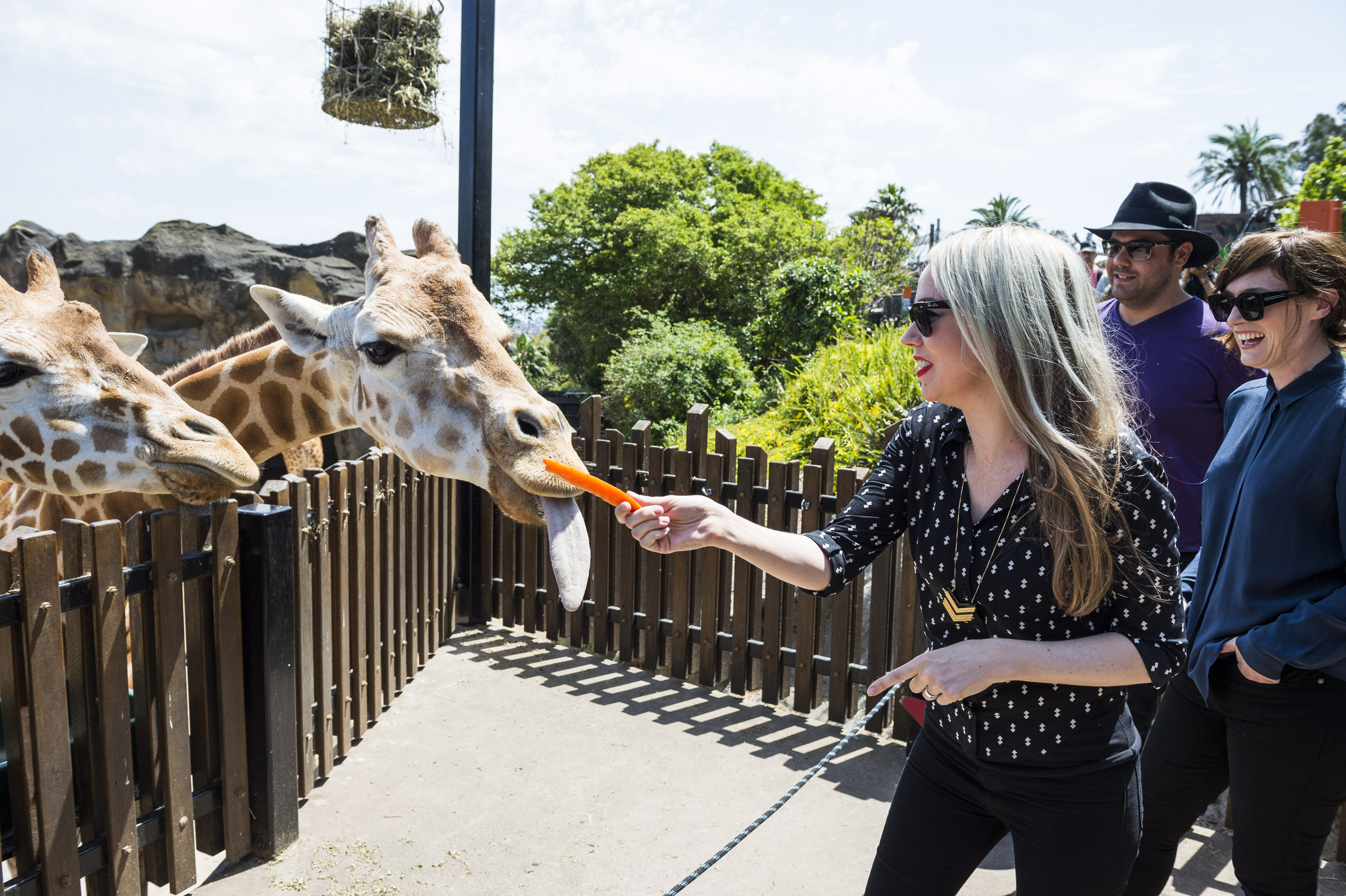 Special lineup for the 20th Twilight at Taronga Zoo